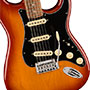 GUITARRA FENDER PLAYER PLUS STRATOCASTER PF 014-7313-347 - SIENNA SUNBURST