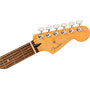 GUITARRA FENDER PLAYER PLUS STRATOCASTER PF 014-7313-347 - SIENNA SUNBURST